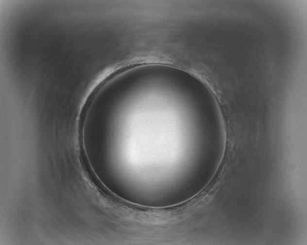X0000067930008200604171446