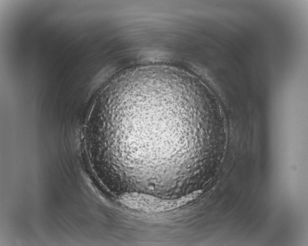 X0000067930010200604171446