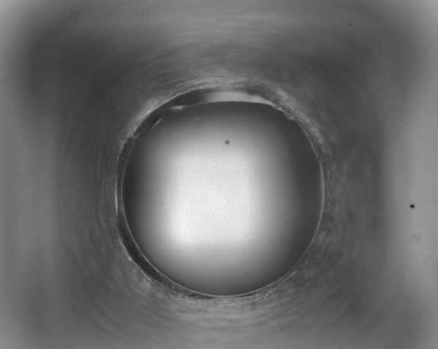 X0000067930011200604171446