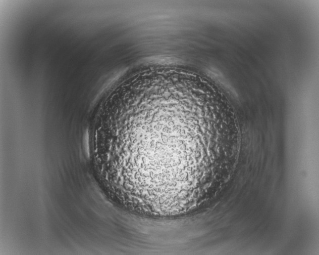 X0000067930014200604171446