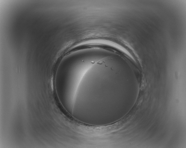 X0000067930019200604171446