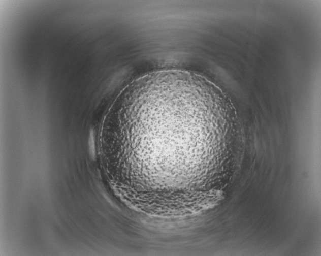 X0000067930022200604171446