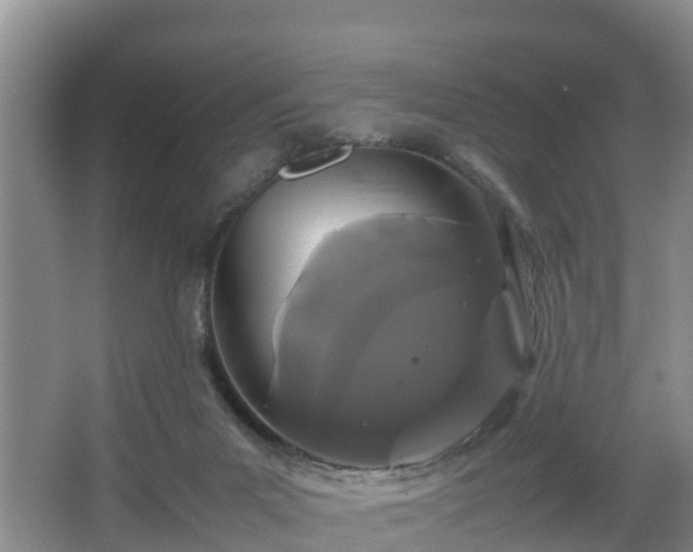 X0000067930023200604171446