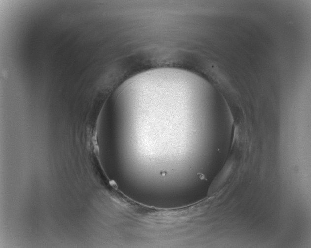 X0000067930025200604171446