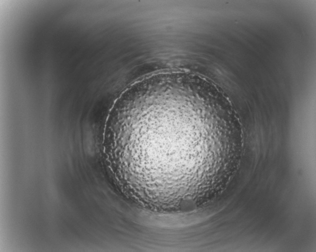 X0000067930030200604171446