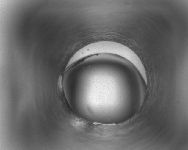 X0000067930041200604171446