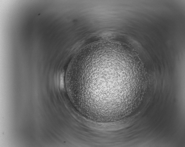 X0000067930046200604171446