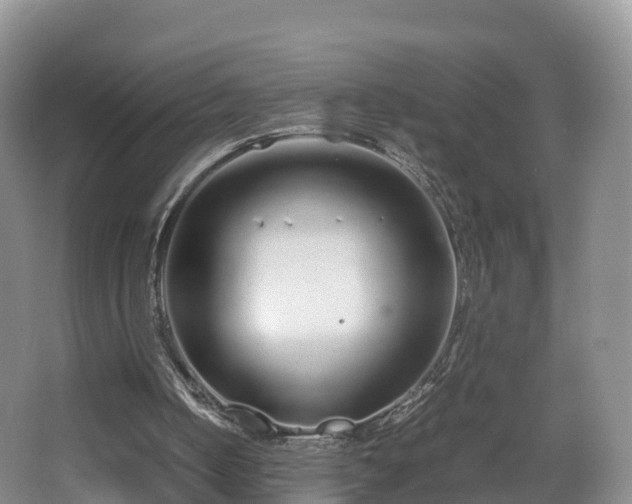 X0000067930050200604171445