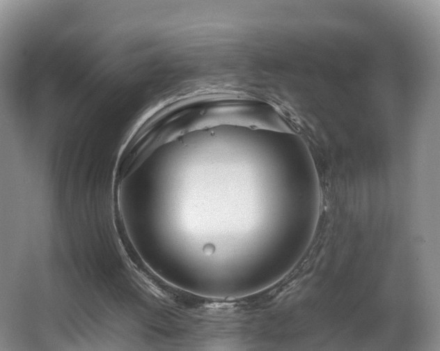 X0000067930052200604171445