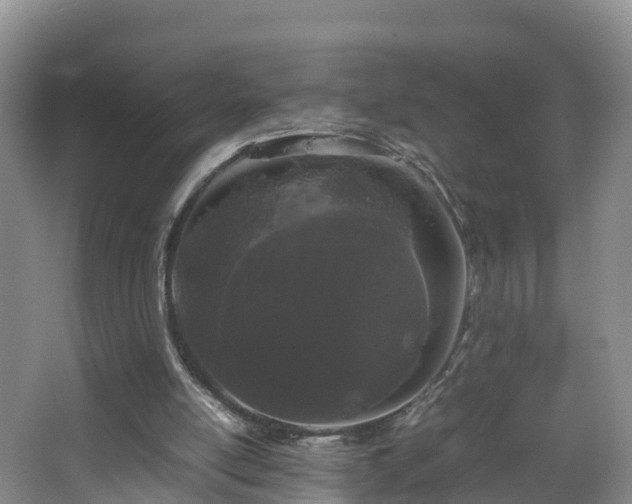 X0000067930054200604171445