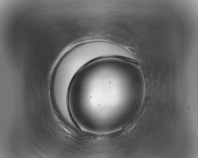 X0000067930056200604171445