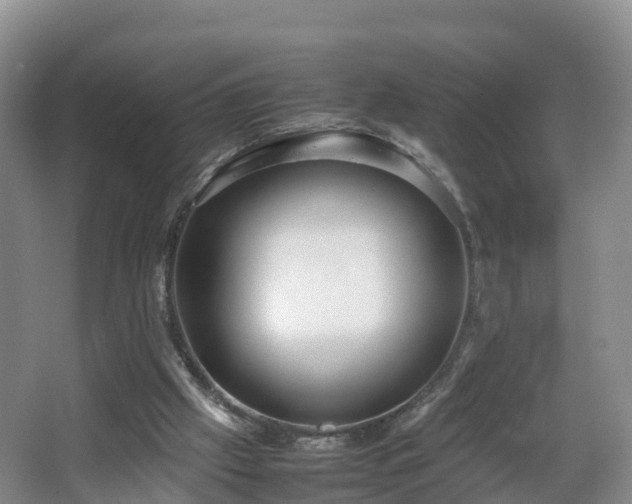 X0000067930057200604171445