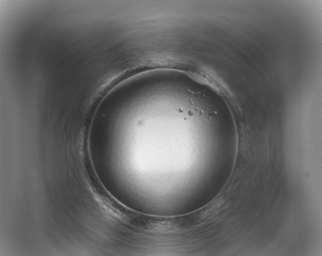X0000067930058200604171445