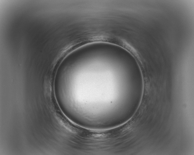 X0000067930059200604171445