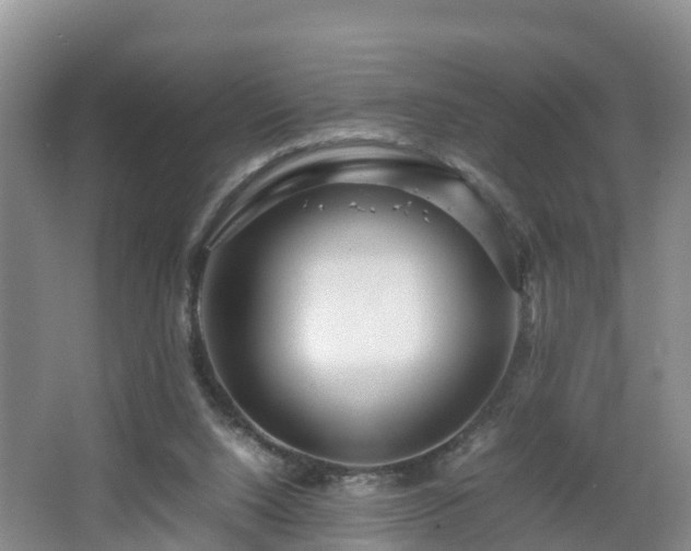 X0000067930064200604171445