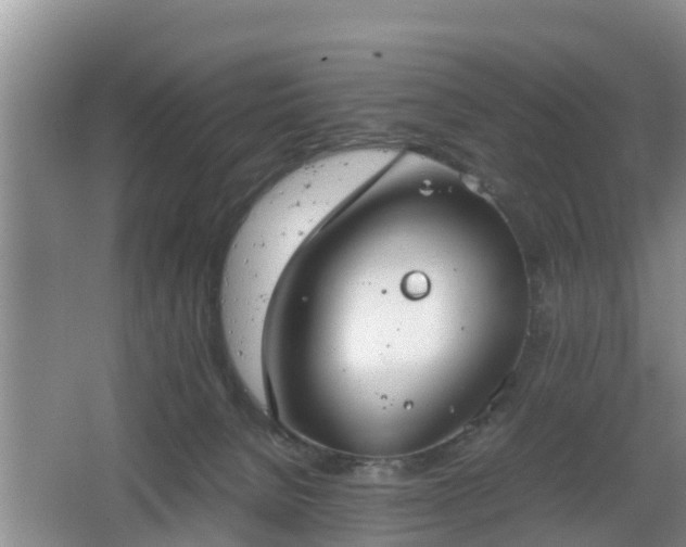 X0000067930080200604171445