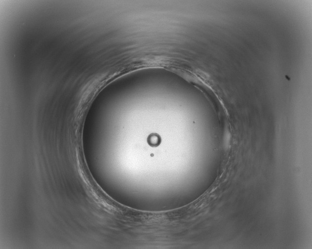 X0000067930097200604171445