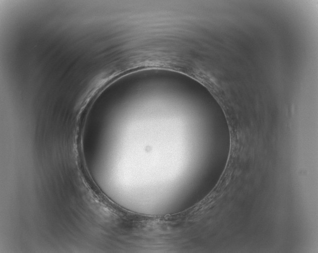 X0000067930098200604171445