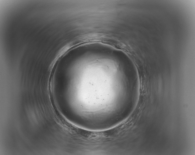 X0000067930099200604171445