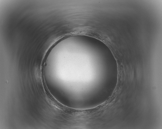 X0000067930100200604171445