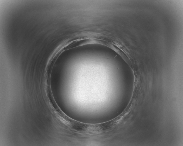 X0000067930101200604171445