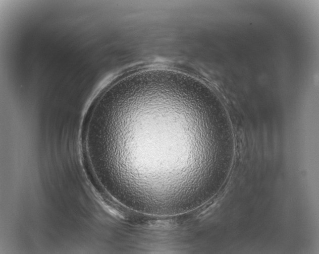 X0000067930102200604171445