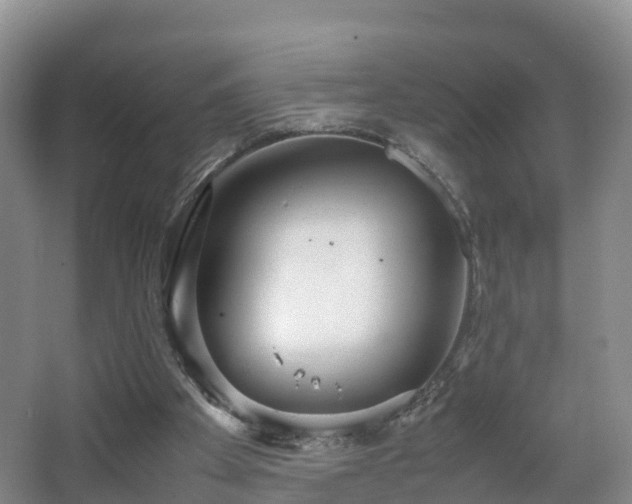 X0000067930105200604171445