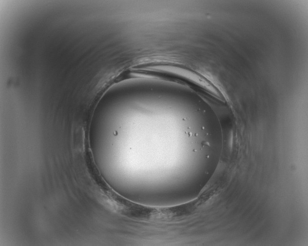 X0000067930109200604171445