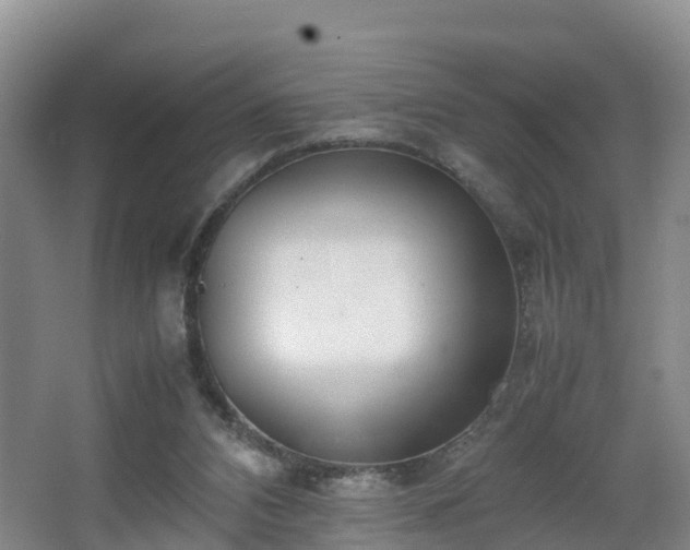 X0000067930112200604171445