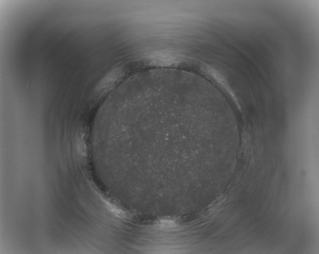 X0000067930114200604171445