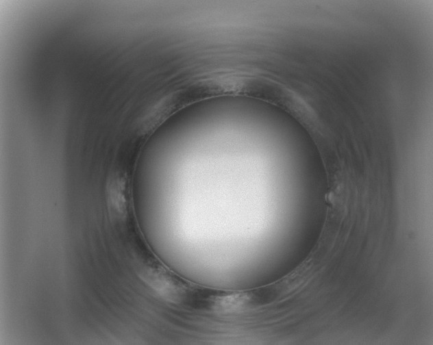 X0000067930122200604171445