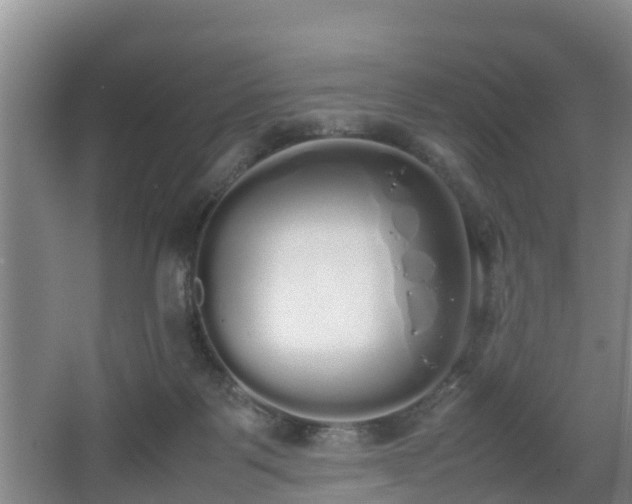 X0000067930123200604171445