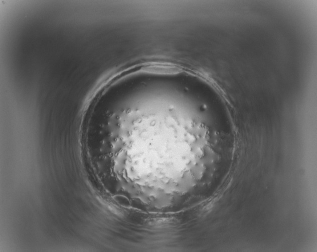 X0000067930151200604171443