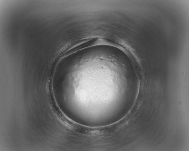 X0000067930153200604171443