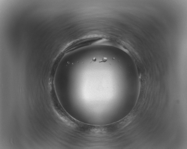 X0000067930160200604171444