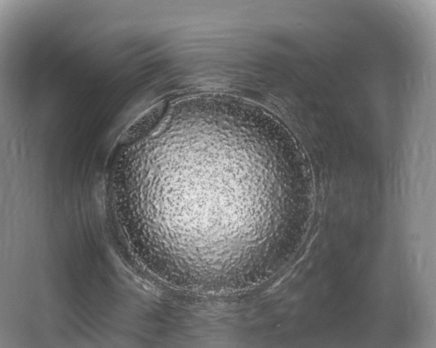 X0000067930194200604171443