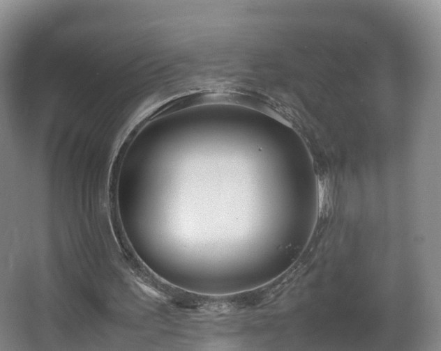 X0000067930195200604171443