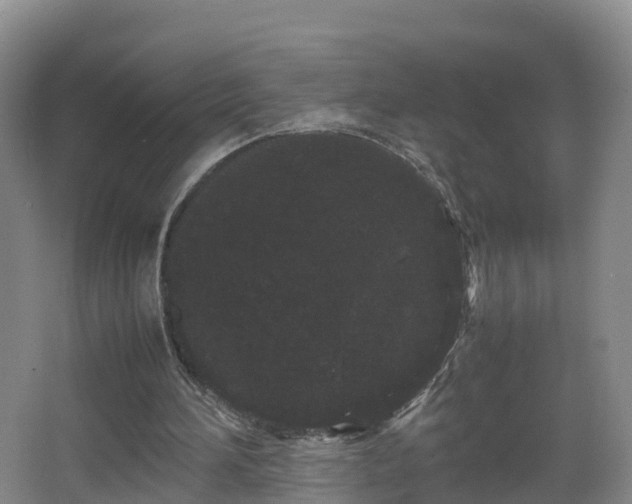 X0000067930196200604171443