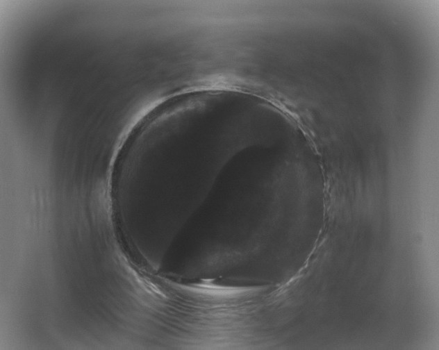 X0000067930200200604171443