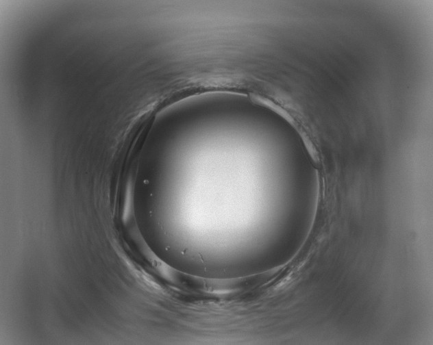 X0000067930201200604171443