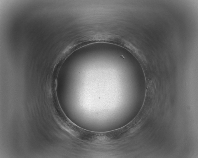 X0000067930203200604171443
