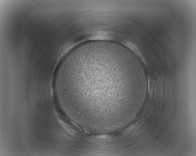 X0000067930204200604171443