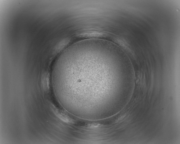 X0000067930206200604171443