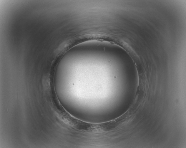X0000067930207200604171443