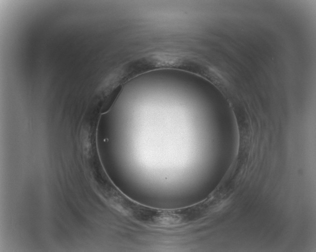 X0000067930215200604171443