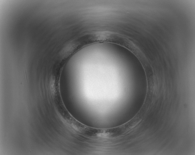 X0000067930216200604171443