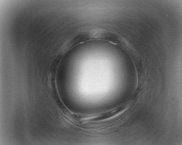 X0000067930217200604171443