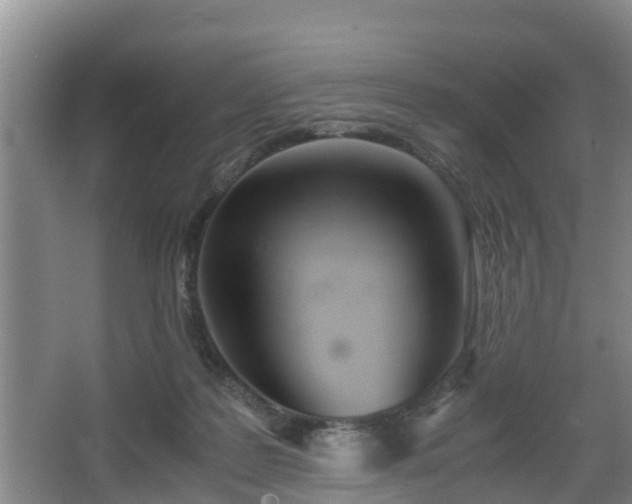 X0000067930219200604171443