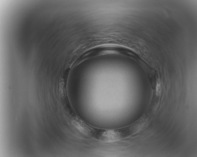 X0000067930231200604171443