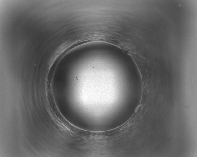 X0000067930242200604171442